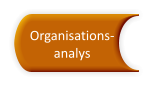 Organisations- analys