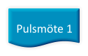 Pulsmöte 1