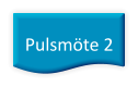 Pulsmöte 2