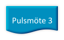 Pulsmöte 3