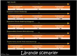 Lärande scenarier Tid Inget lärande Kunskapsutgångspunkt Innan aktivitet Kunskapspåverkan  Under aktivitet B A Kunskapsresultat  Efter aktivitet A Tid Kunskapsutgångspunkt Innan aktivitet Kunskapspåverkan  Under aktivitet B A Kunskapsresultat  Efter aktivitet A+B Kumulativt lärande (Etablering) Tid Kunskapsutgångspunkt Innan aktivitet Kunskapspåverkan  Under aktivitet B A Kunskapsresultat  Efter aktivitet AB Assimilativt lärande (Addering/Utbyggnad) Tid Kunskapsutgångspunkt Innan aktivitet Kunskapspåverkan  Under aktivitet B A Kunskapsresultat  Efter aktivitet Ackommodativt lärande (Omstrukturering) A B Tid Kunskapsutgångspunkt Innan aktivitet Kunskapspåverkan  Under aktivitet B A Kunskapsresultat  Efter aktivitet Transformativt lärande (Total omstrukturering)  C