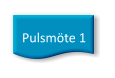 Pulsmöte 1