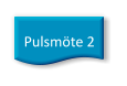 Pulsmöte 2