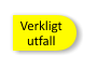 Verkligt utfall